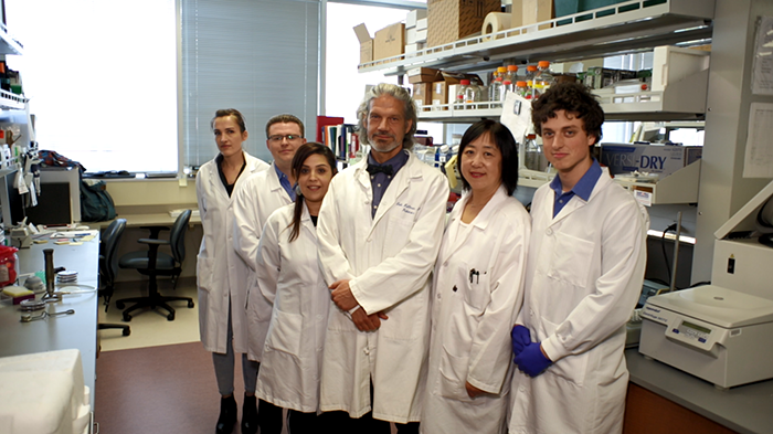 Professor Tobias Kollmann and team at the University of British Columbia